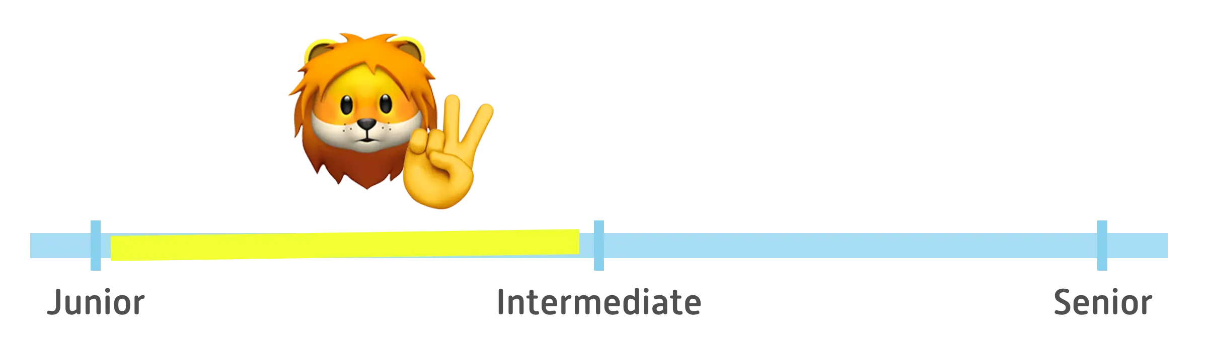Zwischen »Junior« und »Intermediate«